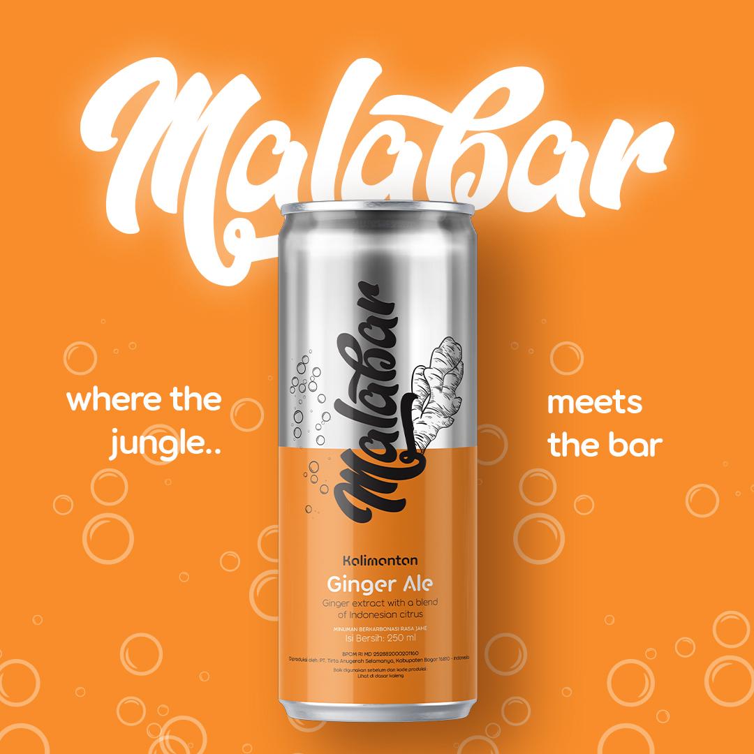 Malabar Ginger Ale 250 ml